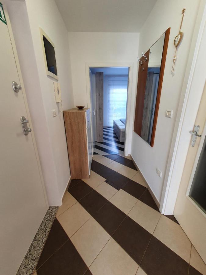 Lavanda Samarin زامبراتيجا المظهر الخارجي الصورة