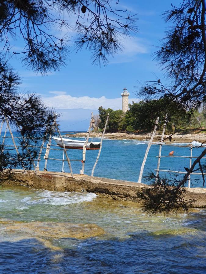 Lavanda Samarin زامبراتيجا المظهر الخارجي الصورة